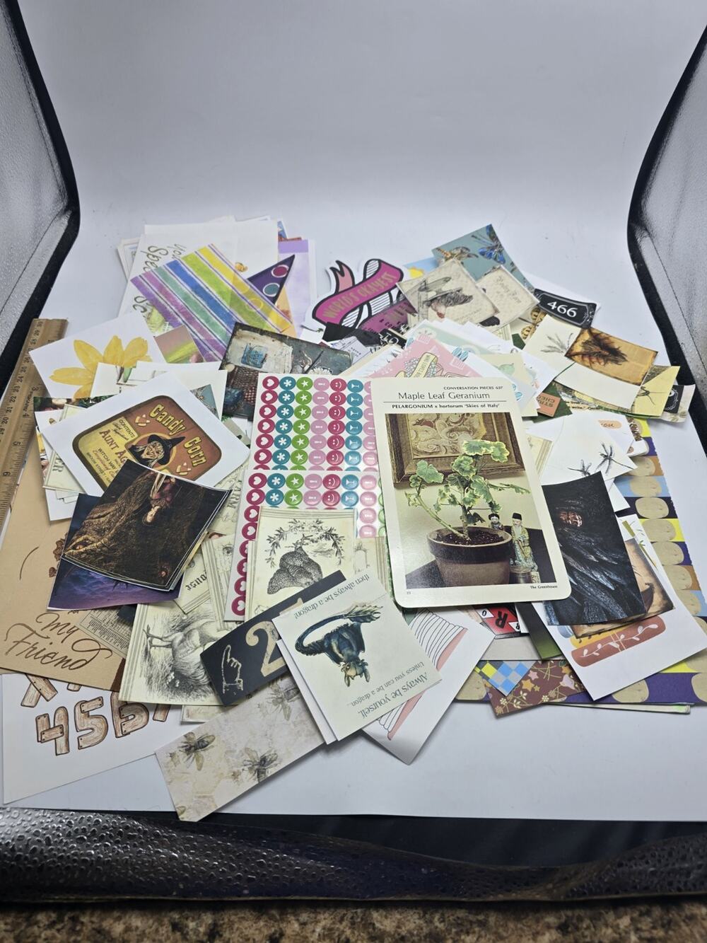 EPHEMERA For junk journal, scrapbooking, decoupage, etc